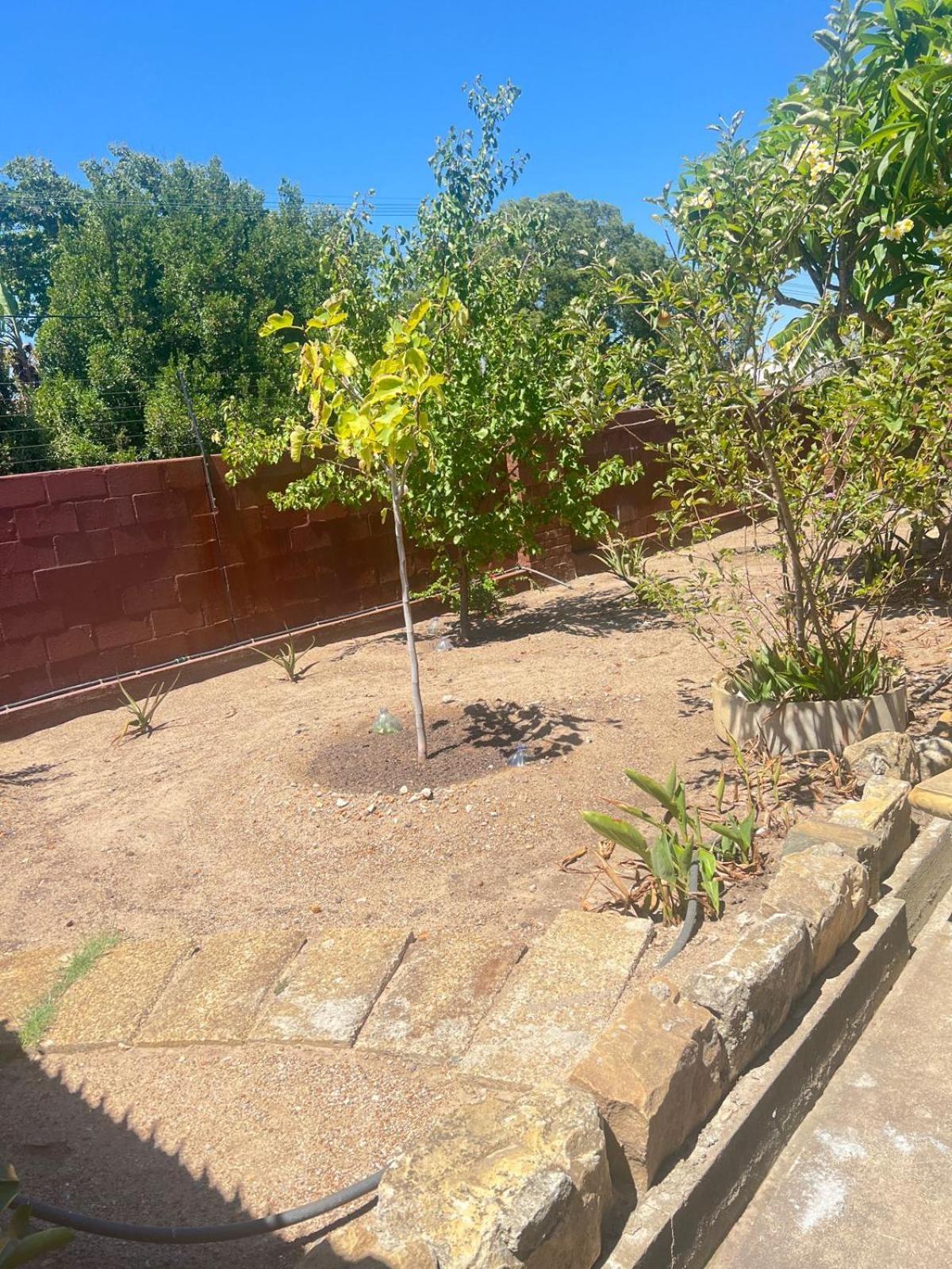 Triple S Guest House Cape Town Exterior photo