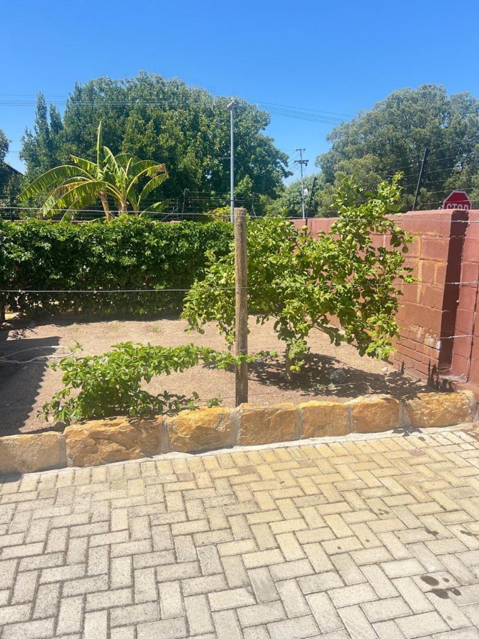 Triple S Guest House Cape Town Exterior photo